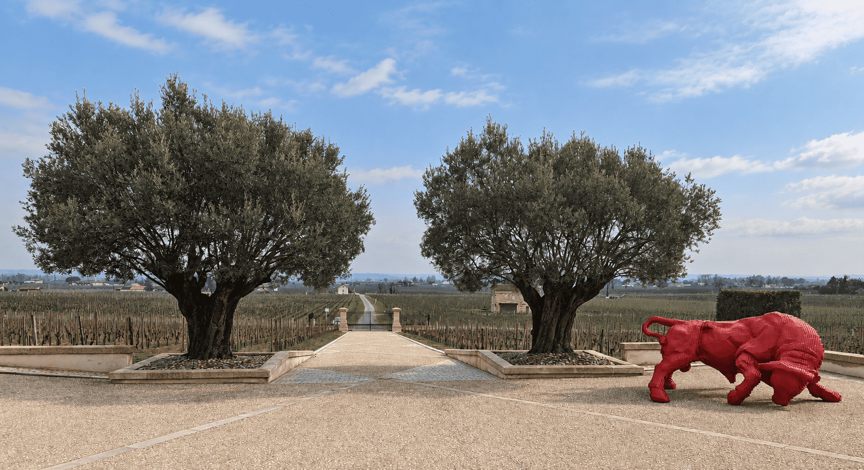 Vue sur les vignobles au Château de Pavie à Saint Emilion. Organisation d'un team building